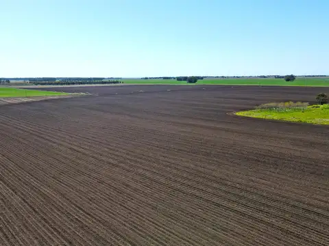 Mar del Plata - Camet - 92 has. Agrícola clase II