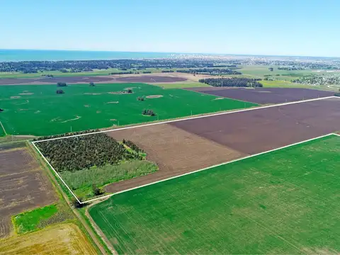 Mar del Plata - Camet - 92 has. Agrícola clase II