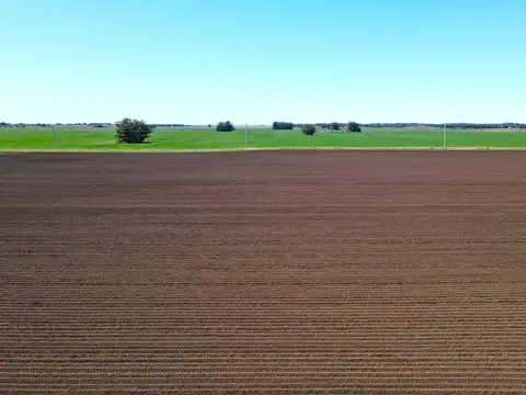 Mar del Plata