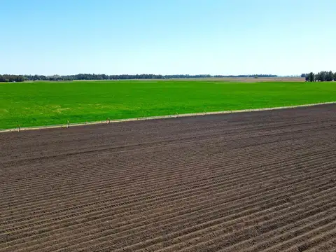 Mar del Plata - Camet - 92 has. Agrícola clase II