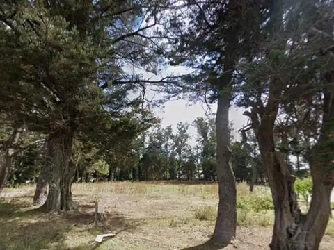 Terreno en Venta en Mar del Plata, USD 9.500