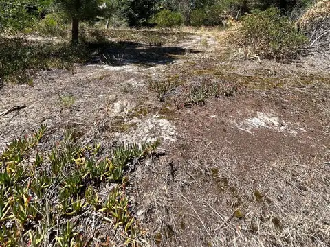 VENTA TERRENO GUAZUVIRA NUEVO