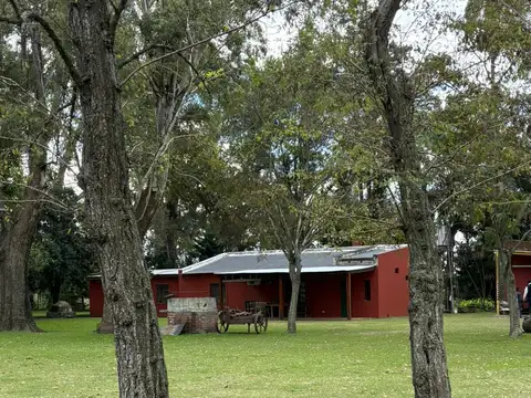 Chacra de 10 Has con Producción de Arándanos y Avícola, Los Cardales, Exaltación de La Cruz