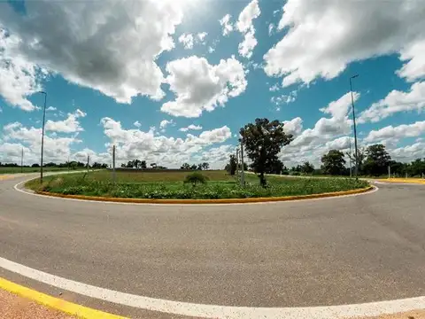 Amplio Galpón Más Apto En Sup 3 Ha