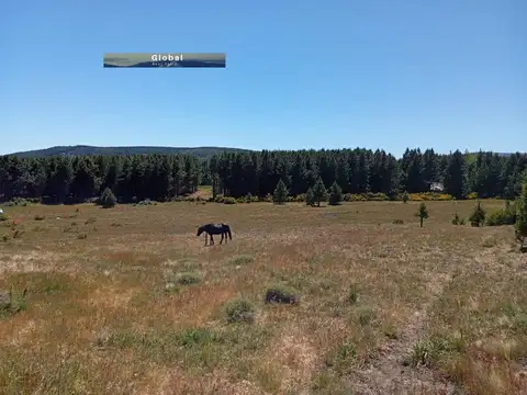 FRACCIÓN DE 3,3 Has CHACRA 22 Y 23, SAN MARTÍN DE LOS ANDES PATAGONIA ARGENTINA