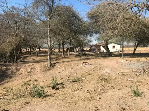 Finca en venta, Carril, Inversion