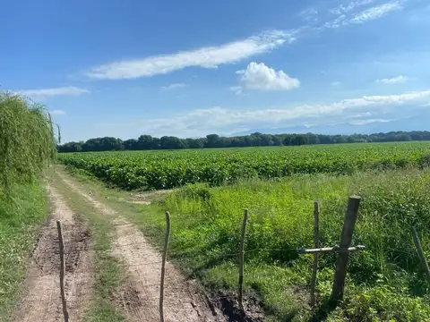 Finca en venta, Carril, Inversion