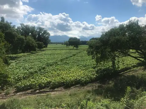 Terreno en Venta de 52,0 m2