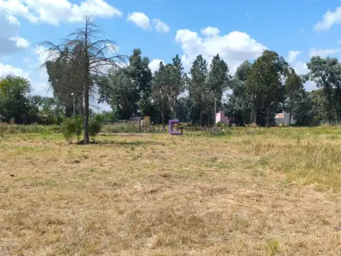 Terreno en Venta 15  mts Fondo