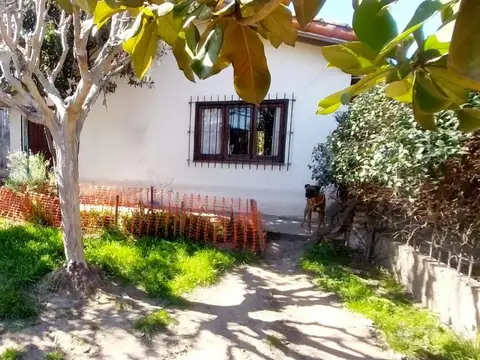 Cervantes 1100