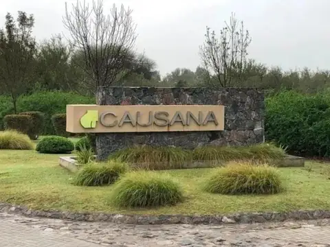 Causana