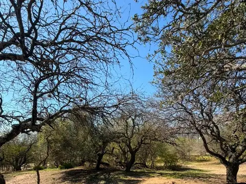 Terreno en Venta en Loma Colorada, USD 140.000