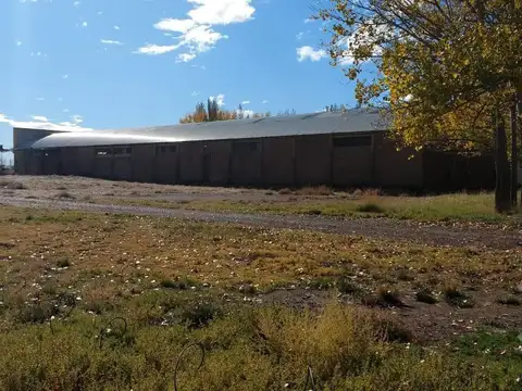 Galpon en Venta 40 años