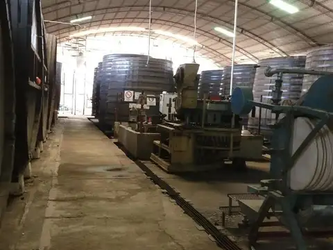 En Venta, Predio de 3.31 Ha, Frente a Ruta 22, General Roca