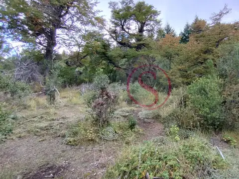 Lote  en Venta en Kaleuche, San Martin de los Andes, Patagonia