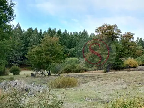  Lote  en Venta en Kaleuche, San Martin de los Andes, Patagonia