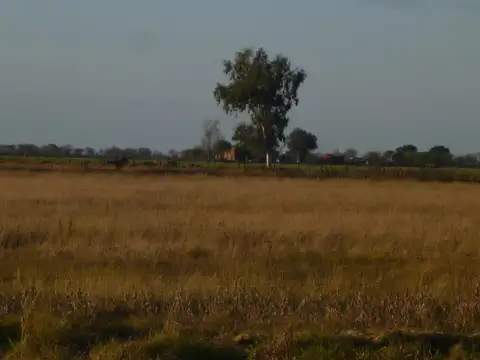 33 Has Zona Bella Italia