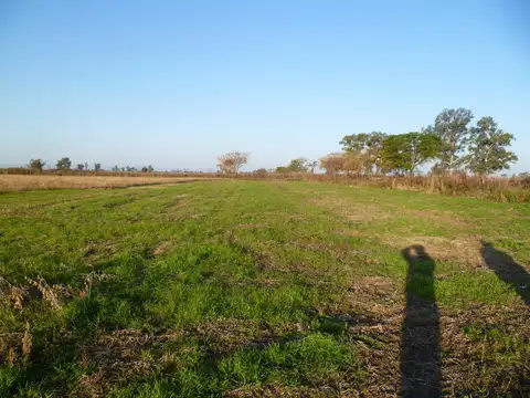 Campo - Bella Italia