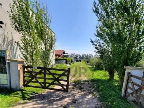 Las mercedes 100
