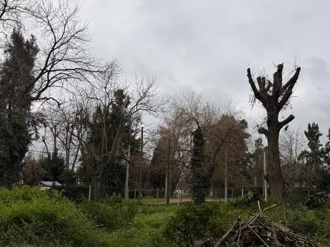 Terreno en Venta de 652,0 m2