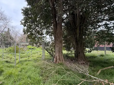 Terreno en Venta 26  mts Fondo