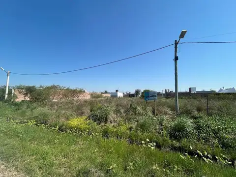 Luis Govi