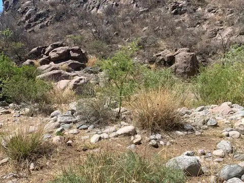 Terreno en Venta de 24000,0 m2