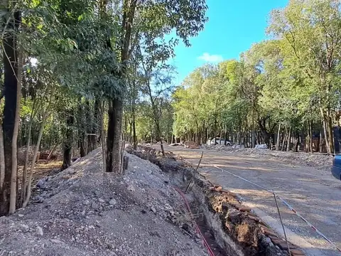 Estancia de San Miguel