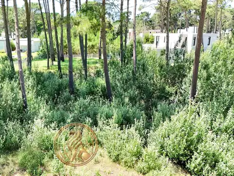 Terreno en Venta de 800,0 m2