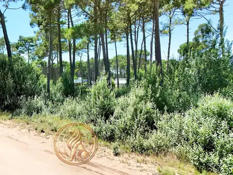 Venta Lote zona Álamos Pinamar
