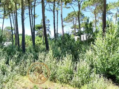 De La Deriva al 2800