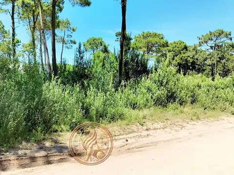 Terreno en Venta 33  mts Frente