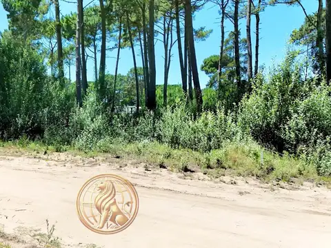 Venta Lote zona Álamos Pinamar