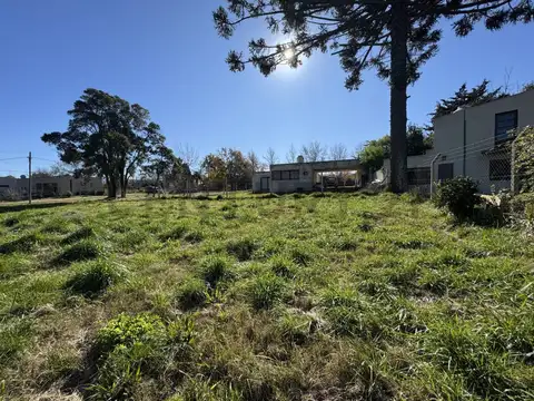 Terreno en Venta 41  mts Fondo