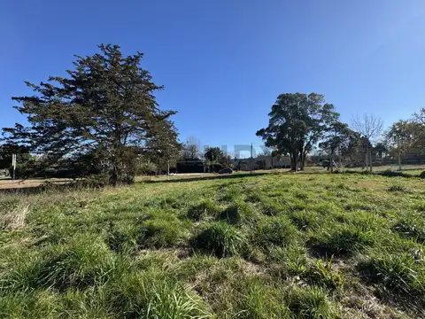 Terreno en Venta en Villa Elisa, USD 44.000