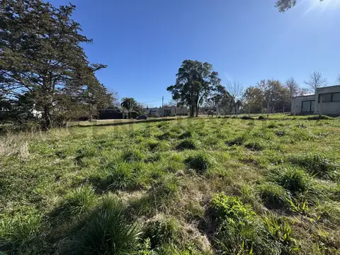 Terreno en venta Villa Elisa