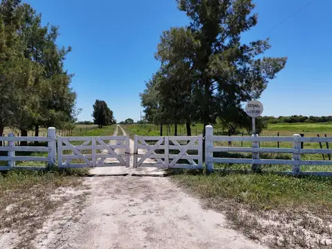 1491 has ganaderas de cría y recría - La Gallareta - Vera