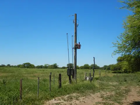 Campo en Venta Ganadero