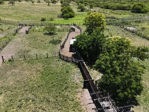 Campo en Venta de 1.491  ha