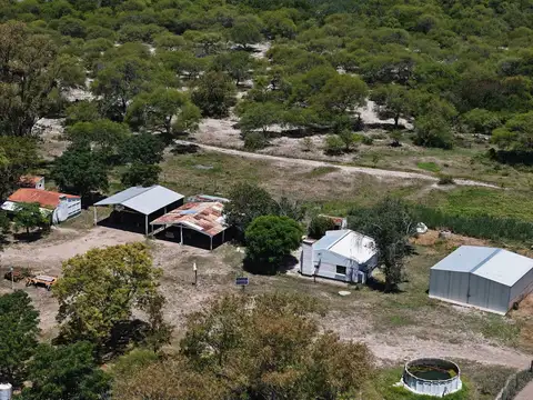 Campo en Venta de 1.491  ha