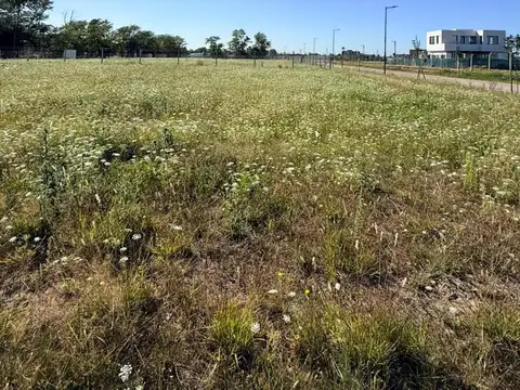 Heroes de Malvinas y Moreno