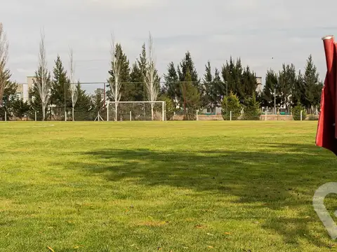 Terreno en Venta de 970,0 m2