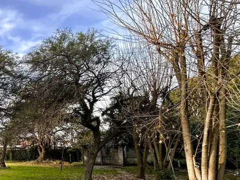 Terreno en  venta arbolado - Benavidez - Partido de Tigre - Sin Expensas