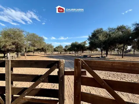 Campo en venta en Garza, Santiago del Estero
