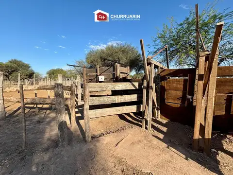 Campo en venta en Garza, Santiago del Estero