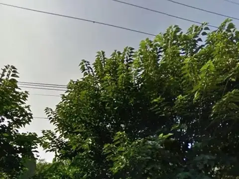 Federico Leloir 1250