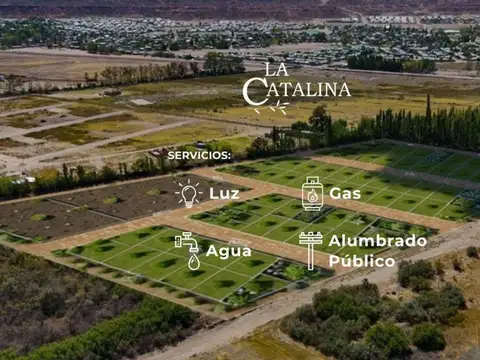 La Catalina, Laprida 100
