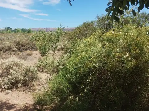 Terreno en Venta de 778,0 m2