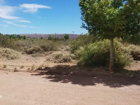 Terreno en Venta de 778,0 m2