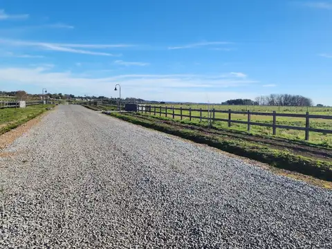 Terreno en Venta de 10000,0 m2
